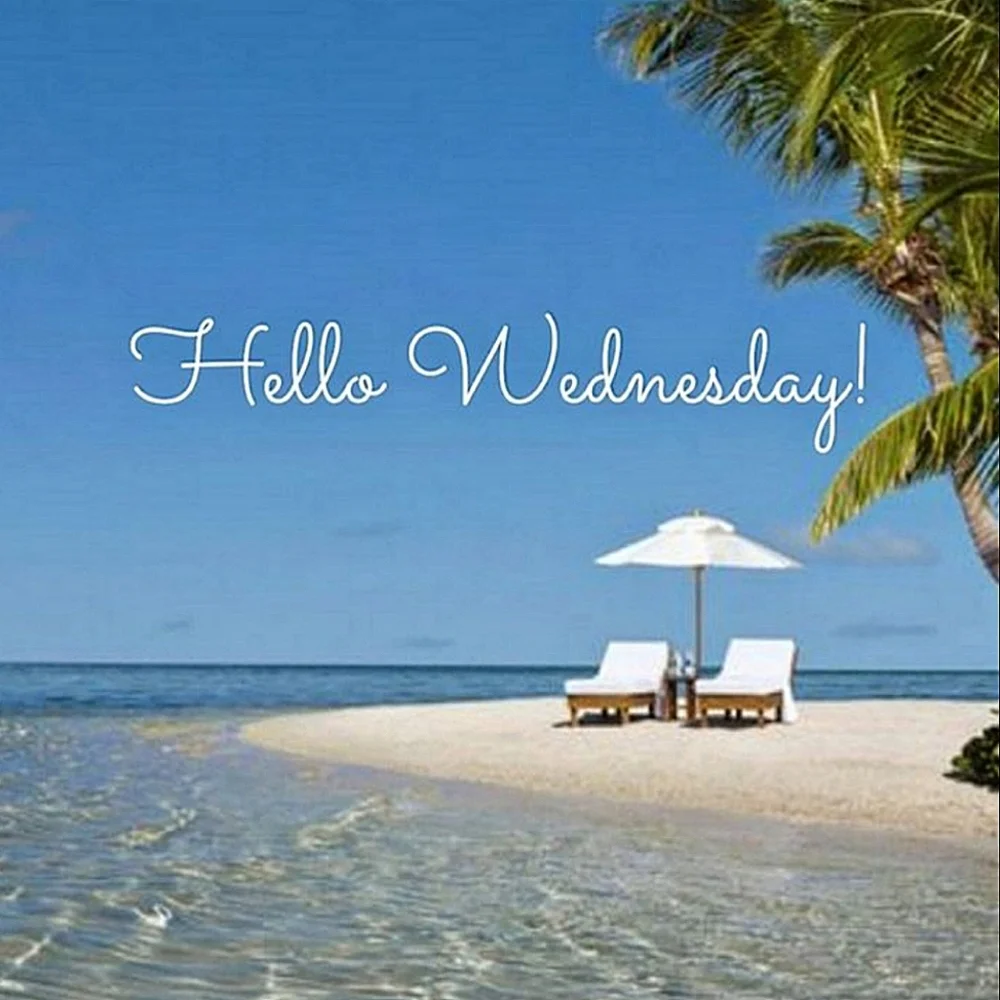 Hello Wednesday! Sales Are Happening! - Picture 3 of 4